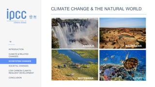 INTRODUCTION
CLIMATE & RELATED
CHANGES
ECOSYSTEM CHANGES
SOCIETAL CHANGES
LOW CARBON CLIMATE-
RESILIENT DEVELOPMENT
CONCLUSION
CLIMATE CHANGE & THE NATURAL WORLD
ANGOLA
BOTSWANA
MAURITANIA
EGYPT
18
 
