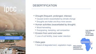 SUDAN
INTRODUCTION
CLIMATE & RELATED
CHANGES
ECOSYSTEM CHANGES
SOCIETAL CHANGES
LOW CARBON CLIMATE-
RESILIENT DEVELOPMENT
CONCLUSION
DESERTIFICATION
• Drought (frequent, prolonged, intense)
• Caused and/or exacerbated by climate change
• Droughts are hotter and thus more severe
• Human activities (exacerbated by drought)
• Wood harvesting
• Overgrazing, trampling, soil compaction
• Erosion from wind and water
• Loss of soil fertility, lower water retention
• Data gaps
• Extent of degraded land, vegetation maps
THE HORN OF
AFRICA
IS GETTING
EVEN DRIER
PROLONGED
DROUGHT &
OVERGRAZING
20
 