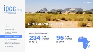 ALGERIA
INTRODUCTION
CLIMATE & RELATED
CHANGES
ECOSYSTEM CHANGES
SOCIETAL CHANGES
LOW CARBON CLIMATE-
RESILIENT DEVELOPMENT
CONCLUSION
BIODIVERSITY LOSS
234
in 1978
95
in 2011
PLANT
SPECIES
PLANT
SPECIES
SOUTH-WESTERN ALGERIA
21
 