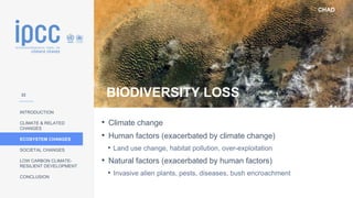 CHAD
INTRODUCTION
CLIMATE & RELATED
CHANGES
ECOSYSTEM CHANGES
SOCIETAL CHANGES
LOW CARBON CLIMATE-
RESILIENT DEVELOPMENT
CONCLUSION
Photo:
Stuart
Rankin
BIODIVERSITY LOSS
• Climate change
• Human factors (exacerbated by climate change)
• Land use change, habitat pollution, over-exploitation
• Natural factors (exacerbated by human factors)
• Invasive alien plants, pests, diseases, bush encroachment
22
 