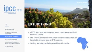 SOUTH AFRICA
INTRODUCTION
CLIMATE & RELATED
CHANGES
ECOSYSTEM CHANGES
SOCIETAL CHANGES
LOW CARBON CLIMATE-
RESILIENT DEVELOPMENT
CONCLUSION
EXTINCTIONS
▪ >2000 plant species in dryland areas could become extinct
within 100 years.
▪ The Fynbos biome in South Africa could lose about 45% of
its suitable growing area at 2°C warming.
▪ Limiting warming can help protect this rich habitat.
23
 
