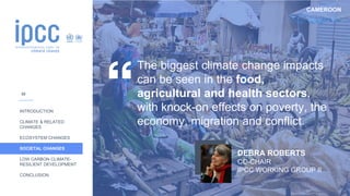 CAMEROON
INTRODUCTION
CLIMATE & RELATED
CHANGES
ECOSYSTEM CHANGES
SOCIETAL CHANGES
LOW CARBON CLIMATE-
RESILIENT DEVELOPMENT
CONCLUSION
The biggest climate change impacts
can be seen in the food,
agricultural and health sectors,
with knock-on effects on poverty, the
economy, migration and conflict.
DEBRA ROBERTS
CO-CHAIR
IPCC WORKING GROUP II
30
 