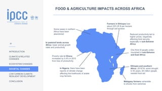 INTRODUCTION
CLIMATE & RELATED
CHANGES
ECOSYSTEM CHANGES
SOCIETAL CHANGES
LOW CARBON CLIMATE-
RESILIENT DEVELOPMENT
CONCLUSION Malagasy farmers vulnerable
to shocks from extremes
Farmers in Ethiopia lose
about 220 US $ per hectare
through soil erosion
In pastoral lands across
Africa lower animal growth
rates and productivity
Poverty rate in Ghana
increased by 5.4% in 2015
from loss of productivity
In Nigeria, there have been
reports of climate change
affecting the livelihoods of arable
crop farmers.
Ethiopia and southern
Africa, 2015/16, worst drought
in 50 years, 28 million people
needed food aid
One third of people under-
nourished in sub-Saharan
and East Africa
Reduced productivity led to
higher prices, negatively
affecting food security,
especially in sub-Saharan
Africa
Some oases in northern
Africa have been
abandoned
FOOD & AGRICULTURE IMPACTS ACROSS AFRICA
31
 