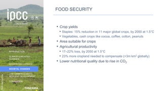 TANZANIA
INTRODUCTION
CLIMATE & RELATED
CHANGES
ECOSYSTEM CHANGES
SOCIETAL CHANGES
LOW CARBON CLIMATE-
RESILIENT DEVELOPMENT
CONCLUSION
Photo:
MarliesCraig
FOOD SECURITY
• Crop yields
• Staples: 15% reduction in 11 major global crops, by 2050 at 1.5°C
• Vegetables, cash crops like cocoa, coffee, cotton, peanuts
• Area suitable for crops
• Agricultural productivity
• 17–22% loss, by 2050 at 1.5°C
• 23% more cropland needed to compensate (>3m km2 globally)
• Lower nutritional quality due to rise in CO2
34
 