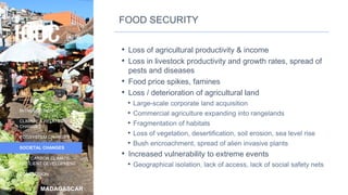 MADAGASCAR
INTRODUCTION
CLIMATE & RELATED
CHANGES
ECOSYSTEM CHANGES
SOCIETAL CHANGES
LOW CARBON CLIMATE-
RESILIENT DEVELOPMENT
CONCLUSION
FOOD SECURITY
• Loss of agricultural productivity & income
• Loss in livestock productivity and growth rates, spread of
pests and diseases
• Food price spikes, famines
• Loss / deterioration of agricultural land
• Large-scale corporate land acquisition
• Commercial agriculture expanding into rangelands
• Fragmentation of habitats
• Loss of vegetation, desertification, soil erosion, sea level rise
• Bush encroachment, spread of alien invasive plants
• Increased vulnerability to extreme events
• Geographical isolation, lack of access, lack of social safety nets
35
 