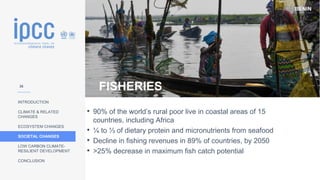 BENIN
INTRODUCTION
CLIMATE & RELATED
CHANGES
ECOSYSTEM CHANGES
SOCIETAL CHANGES
LOW CARBON CLIMATE-
RESILIENT DEVELOPMENT
CONCLUSION
FISHERIES
• 90% of the world’s rural poor live in coastal areas of 15
countries, including Africa
• ¼ to ⅓ of dietary protein and micronutrients from seafood
• Decline in fishing revenues in 89% of countries, by 2050
• >25% decrease in maximum fish catch potential
36
 