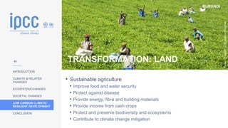 BURUNDI
INTRODUCTION
CLIMATE & RELATED
CHANGES
ECOSYSTEM CHANGES
SOCIETAL CHANGES
LOW CARBON CLIMATE-
RESILIENT DEVELOPMENT
CONCLUSION
Photo:
(cropped):
CTB/Josiane
Droeghag
TRANSFORMATION: LAND
• Sustainable agriculture
• Improve food and water security
• Protect against disease
• Provide energy, fibre and building materials
• Provide income from cash crops
• Protect and preserve biodiversity and ecosystems
• Contribute to climate change mitigation
48
 