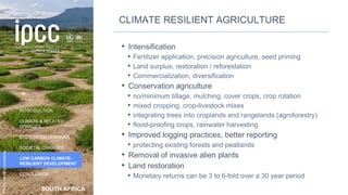 SOUTH AFRICA
INTRODUCTION
CLIMATE & RELATED
CHANGES
ECOSYSTEM CHANGES
SOCIETAL CHANGES
LOW CARBON CLIMATE-
RESILIENT DEVELOPMENT
CONCLUSION
Photo:
Herding
academy
CLIMATE RESILIENT AGRICULTURE
• Intensification
• Fertilizer application, precision agriculture, seed priming
• Land surplus, restoration / reforestation
• Commercialization, diversification
• Conservation agriculture
• no/minimum tillage, mulching, cover crops, crop rotation
• mixed cropping, crop-livestock mixes
• integrating trees into croplands and rangelands (agroforestry)
• flood-proofing crops, rainwater harvesting
• Improved logging practices, better reporting
• protecting existing forests and peatlands
• Removal of invasive alien plants
• Land restoration
• Monetary returns can be 3 to 6-fold over a 30 year period
49
 