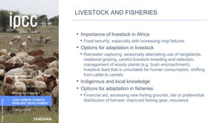 TANZANIA
INTRODUCTION
CLIMATE & RELATED
CHANGES
ECOSYSTEM CHANGES
SOCIETAL CHANGES
LOW CARBON CLIMATE-
RESILIENT DEVELOPMENT
CONCLUSION
Photo:
Marlies
Craig
LIVESTOCK AND FISHERIES
• Importance of livestock in Africa
• Food security, especially with increasing crop failures
• Options for adaptation in livestock
• Rainwater capturing, seasonally alternating use of rangelands,
rotational grazing, careful livestock breeding and selection,
management of woody plants (e.g. bush encroachment),
livestock feed that is unsuitable for human consumption, shifting
from cattle to camels
• Indigenous and local knowledge
• Options for adaptation in fisheries
• Financial aid, accessing new fishing grounds, fair or preferential
distribution of harvest, improved fishing gear, insurance
50
 