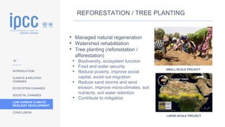 INTRODUCTION
CLIMATE & RELATED
CHANGES
ECOSYSTEM CHANGES
SOCIETAL CHANGES
LOW CARBON CLIMATE-
RESILIENT DEVELOPMENT
CONCLUSION
REFORESTATION / TREE PLANTING
• Managed natural regeneration
• Watershed rehabilitation
• Tree planting (reforestation /
afforestation)
• Biodiversity, ecosystem function
• Food and water security
• Reduce poverty, improve social
capital, avoid out-migration
• Reduce sand storms and wind
erosion, improve micro-climates, soil
nutrients, soil water retention
• Contribute to mitigation
LARGE-SCALE PROJECT
SMALL-SCALE PROJECT
51
 