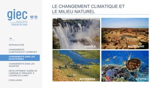 INTRODUCTION
CHANGEMENTS
CLIMATIQUES ET CONNEXES
CHANGEMENTS DANS LES
ÉCOSYSTÈMES
CHANGEMENTS DANS LES
SOCIÉTÉS
DÉVELOPPEMENT SOBRE EN
CARBONE ET RÉSILIENT À
L’ÉGARD DU CLIMAT
CONCLUSION
LE CHANGEMENT CLIMATIQUE ET
LE MILIEU NATUREL
ANGOLA
BOTSWANA
MAURITANIE
ÉGYPTE
18
 
