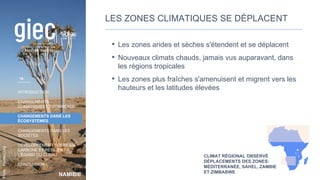 NAMIBIE
INTRODUCTION
CHANGEMENTS
CLIMATIQUES ET CONNEXES
CHANGEMENTS DANS LES
ÉCOSYSTÈMES
CHANGEMENTS DANS LES
SOCIÉTÉS
DÉVELOPPEMENT SOBRE EN
CARBONE ET RÉSILIENT À
L’ÉGARD DU CLIMAT
CONCLUSION
Photo
:
MarliesCraig
LES ZONES CLIMATIQUES SE DÉPLACENT
• Les zones arides et sèches s'étendent et se déplacent
• Nouveaux climats chauds, jamais vus auparavant, dans
les régions tropicales
• Les zones plus fraîches s'amenuisent et migrent vers les
hauteurs et les latitudes élevées
CLIMAT RÉGIONAL OBSERVÉ
DÉPLACEMENTS DES ZONES:
MÉDITERRANÉE, SAHEL, ZAMBIE
ET ZIMBABWE
19
 