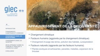 TCHAD
Photo
:
Stuart
Rankin
INTRODUCTION
CHANGEMENTS
CLIMATIQUES ET CONNEXES
CHANGEMENTS DANS LES
ÉCOSYSTÈMES
CHANGEMENTS DANS LES
SOCIÉTÉS
DÉVELOPPEMENT SOBRE EN
CARBONE ET RÉSILIENT À
L’ÉGARD DU CLIMAT
CONCLUSION
• Changement climatique
• Facteurs humains (aggravés par le changement climatique)
• Changement d'usage des terres, pollution des habitats, surexploitation
• Facteurs naturels (aggravés par les facteurs humains)
• Plantes exotiques envahissantes, parasites, maladies, expansion de la
brousse
22
APPAUVRISSEMENT DE LA BIODIVERSITÉ
 