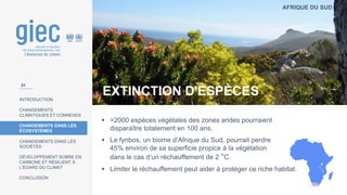 AFRIQUE DU SUD
INTRODUCTION
CHANGEMENTS
CLIMATIQUES ET CONNEXES
CHANGEMENTS DANS LES
ÉCOSYSTÈMES
CHANGEMENTS DANS LES
SOCIÉTÉS
DÉVELOPPEMENT SOBRE EN
CARBONE ET RÉSILIENT À
L’ÉGARD DU CLIMAT
CONCLUSION
EXTINCTION D'ESPÈCES
▪ >2000 espèces végétales des zones arides pourraient
disparaître totalement en 100 ans.
▪ Le fynbos, un biome d’Afrique du Sud, pourrait perdre
45% environ de sa superficie propice à la végétation
dans le cas d’un réchauffement de 2 °C.
▪ Limiter le réchauffement peut aider á protéger ce riche habitat.
23
 