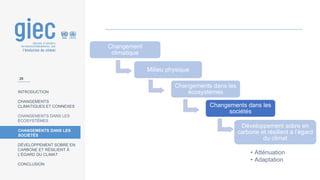 INTRODUCTION
CHANGEMENTS
CLIMATIQUES ET CONNEXES
CHANGEMENTS DANS LES
ÉCOSYSTÈMES
CHANGEMENTS DANS LES
SOCIÉTÉS
DÉVELOPPEMENT SOBRE EN
CARBONE ET RÉSILIENT À
L’ÉGARD DU CLIMAT
CONCLUSION
28
Changement
climatique
Milieu physique
Changements dans les
écosystèmes
Changements dans les
sociétés
Développement sobre en
carbone et résilient à l’égard
du climat
• Atténuation
• Adaptation
 