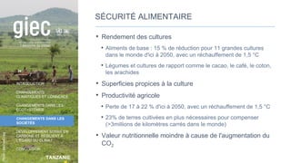 TANZANIE
Photo
:
MarliesCraig
INTRODUCTION
CHANGEMENTS
CLIMATIQUES ET CONNEXES
CHANGEMENTS DANS LES
ÉCOSYSTÈMES
CHANGEMENTS DANS LES
SOCIÉTÉS
DÉVELOPPEMENT SOBRE EN
CARBONE ET RÉSILIENT À
L’ÉGARD DU CLIMAT
CONCLUSION
SÉCURITÉ ALIMENTAIRE
• Rendement des cultures
• Aliments de base : 15 % de réduction pour 11 grandes cultures
dans le monde d'ici à 2050, avec un réchauffement de 1,5 °C
• Légumes et cultures de rapport comme le cacao, le café, le coton,
les arachides
• Superficies propices à la culture
• Productivité agricole
• Perte de 17 à 22 % d'ici à 2050, avec un réchauffement de 1,5 °C
• 23% de terres cultivées en plus nécessaires pour compenser
(>3millions de kilomètres carrés dans le monde)
• Valeur nutritionnelle moindre à cause de l'augmentation du
CO2
34
 