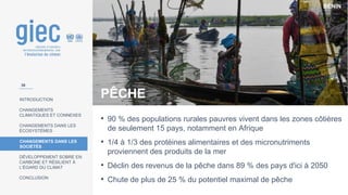 BÉNIN
INTRODUCTION
CHANGEMENTS
CLIMATIQUES ET CONNEXES
CHANGEMENTS DANS LES
ÉCOSYSTÈMES
CHANGEMENTS DANS LES
SOCIÉTÉS
DÉVELOPPEMENT SOBRE EN
CARBONE ET RÉSILIENT À
L’ÉGARD DU CLIMAT
CONCLUSION
PÊCHE
• 90 % des populations rurales pauvres vivent dans les zones côtières
de seulement 15 pays, notamment en Afrique
• 1/4 à 1/3 des protéines alimentaires et des micronutriments
proviennent des produits de la mer
• Déclin des revenus de la pêche dans 89 % des pays d'ici à 2050
• Chute de plus de 25 % du potentiel maximal de pêche
36
 