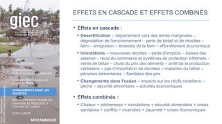 MOZAMBIQUE
INTRODUCTION
CHANGEMENTS
CLIMATIQUES ET CONNEXES
CHANGEMENTS DANS LES
ÉCOSYSTÈMES
CHANGEMENTS DANS LES
SOCIÉTÉS
DÉVELOPPEMENT SOBRE EN
CARBONE ET RÉSILIENT À
L’ÉGARD DU CLIMAT
CONCLUSION
Photo
:
Denis
Onyodi:
IFRC/DRK/
Centre
climatologique
EFFETS EN CASCADE ET EFFETS COMBINÉS
• Effets en cascade :
• Désertification – déplacement vers des terres marginales –
dégradation de l'environnement – perte de bétail et de récoltes –
faim – émigration – émeutes de la faim – effondrement économique
• Inondations – mauvaises récoltes – perte d'emplois – baisse des
salaires – recul du commerce et systèmes de protection informels –
vente de bétail – chute du prix des aliments – arrêt de la production
céréalière – pas d'importation de denrées – maladies du bétail –
pénuries alimentaires – flambées des prix
• Changements dans l'océan – impacts sur les récifs coralliens –
pêche – sécurité alimentaire – activités économiques
• Effets combinés :
• Chaleur + sécheresse + inondations + sécurité alimentaire + crises
sanitaires + conflits + incendies + pauvreté + crises économiques
41
 
