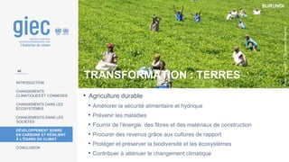 BURUNDI
Photo
:
(
recadrée
):
CTB/Josiane
Droeghag
INTRODUCTION
CHANGEMENTS
CLIMATIQUES ET CONNEXES
CHANGEMENTS DANS LES
ÉCOSYSTÈMES
CHANGEMENTS DANS LES
SOCIÉTÉS
DÉVELOPPEMENT SOBRE
EN CARBONE ET RÉSILIENT
À L’ÉGARD DU CLIMAT
CONCLUSION
TRANSFORMATION : TERRES
• Agriculture durable
• Améliorer la sécurité alimentaire et hydrique
• Prévenir les maladies
• Fournir de l'énergie, des fibres et des matériaux de construction
• Procurer des revenus grâce aux cultures de rapport
• Protéger et préserver la biodiversité et les écosystèmes
• Contribuer à atténuer le changement climatique
48
 