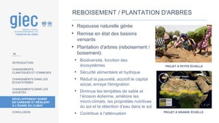 INTRODUCTION
CHANGEMENTS
CLIMATIQUES ET CONNEXES
CHANGEMENTS DANS LES
ÉCOSYSTÈMES
CHANGEMENTS DANS LES
SOCIÉTÉS
DÉVELOPPEMENT SOBRE
EN CARBONE ET RÉSILIENT
À L’ÉGARD DU CLIMAT
CONCLUSION
REBOISEMENT / PLANTATION D'ARBRES
• Repousse naturelle gérée
• Remise en état des bassins
versants
• Plantation d'arbres (reboisement /
boisement)
• Biodiversité, fonction des
écosystèmes
• Sécurité alimentaire et hydrique
• Réduit la pauvreté, accroît le capital
social, enraye l'émigration
• Diminue les tempêtes de sable et
l’érosion éolienne, améliore les
micro-climats, les propriétés nutritives
du sol et la rétention d’eau dans le sol
• Contribue à l'atténuation PROJET À GRANDE ÉCHELLE
PROJET À PETITE ÉCHELLE
51
 