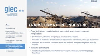 ZAMBIE
INTRODUCTION
CHANGEMENTS
CLIMATIQUES ET CONNEXES
CHANGEMENTS DANS LES
ÉCOSYSTÈMES
CHANGEMENTS DANS LES
SOCIÉTÉS
DÉVELOPPEMENT SOBRE
EN CARBONE ET RÉSILIENT
À L’ÉGARD DU CLIMAT
CONCLUSION
TRANSFORMATION : INDUSTRIE
• Énergie (métaux, produits chimiques, minéraux); ciment, mousse,
réfrigération
• Électrification, efficacité énergétique, sources renouvelables
• Procédés et matériaux à faible intensité de carbone, substitution, stockage du carbone
• Principes de l'économie circulaire : éviter les déchets, allonger l'usage des produits,
recycler
• Industrie alimentaire
• Récolte et après-récolte, transformation, transport, stockage, dont entreposage
frigorifique
55
 
