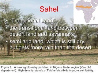 Sahel “ Transitional Land” the transitional land between desert land and savanna semi arid land, which is still dry but gets more rain than the desert 