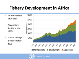 Fishery Development in Africa
1WWW.FAO.ORG
• Fastest increase
after 1995
• Aquaculture
Started in late
1990s
• Marine landings
plateaued after
2000
Landings(1000t)
 