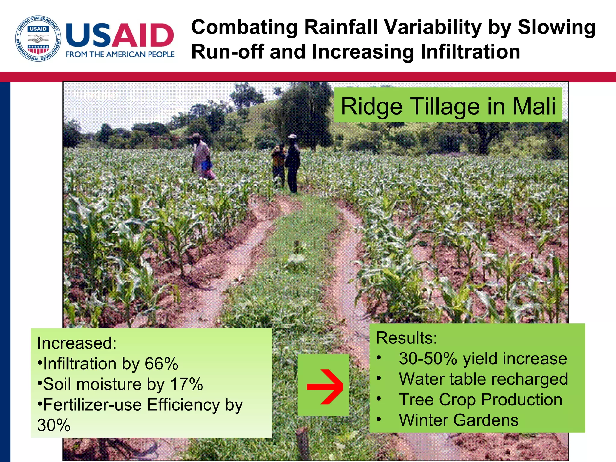 Combating Rainfall Variability by Slowing
                     Run-off and Increasing Infiltration

                                    Ridge Tillage in Mali




Increased:                             Results:
•Infiltration by 66%                   • 30-50% yield increase
•Soil moisture by 17%
•Fertilizer-use Efficiency by         • Water table recharged
                                       • Tree Crop Production
                                       • Winter Gardens
30%
 
