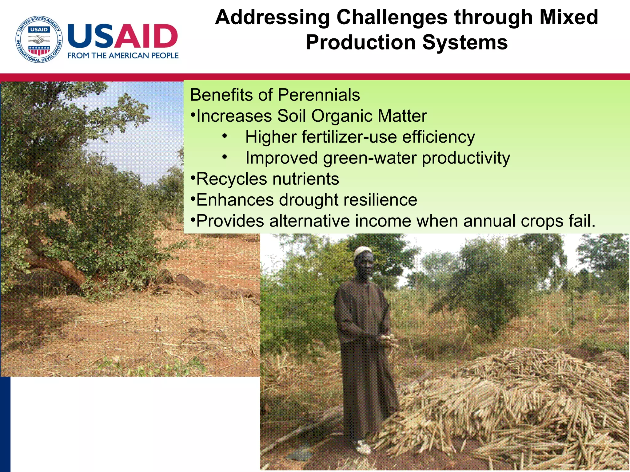 Addressing Challenges through Mixed
           Production Systems

Benefits of Perennials
•Increases Soil Organic Matter
    • Higher fertilizer-use efficiency
    • Improved green-water productivity
•Recycles nutrients
•Enhances drought resilience
•Provides alternative income when annual crops fail.
 