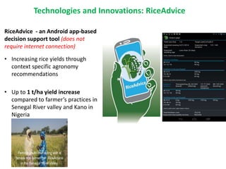 Africa Riceing : Mobilizing and applying science and complementary ...