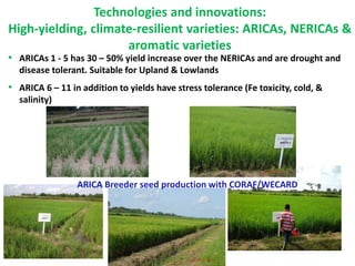 Hybrid rice: 5 best hybrid varieties in Nigeria & Senegal
Variety Yield(t/ha) %Yield
increase over
Faro 44
%Yield
increase...