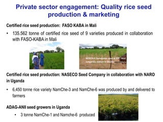 Multi-crop ASI thresher in partnership
with private sector/artisan SMEs
• 108 ASI /ATA rice thresher manufactured in Niger...