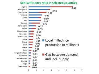 Investment for reaching self-sufficiency across
sub-Saharan Africa, and its return
Note: This does not include additional ...