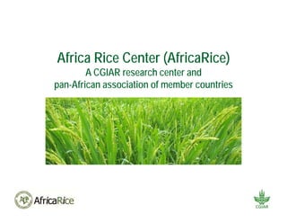 Africa Rice Center (AfricaRice)
A CGIAR research center and
pan-African association of member countries
 