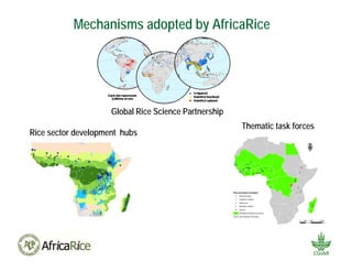 Africa Rice Center (AfricaRice): A CGIAR research center and pan ...