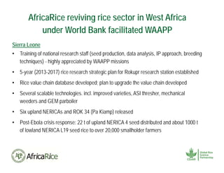 Africa Rice Center (AfricaRice): A CGIAR research center and pan ...