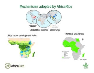 Africa Rice Center (AfricaRice): A CGIAR research center and pan-African association of member countries