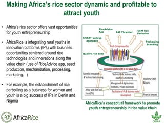 Africa Rice Center (AfricaRice | PDF