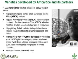 Africa Rice Center (AfricaRice | PDF