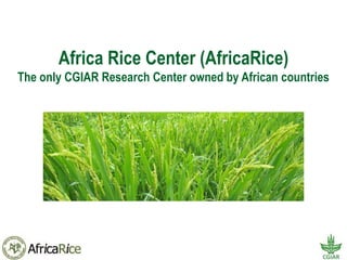 Africa Rice Center (AfricaRice)
The only CGIAR Research Center owned by African countries
 