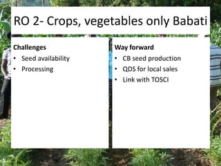 Africa RISING East and Southern Africa Review Brief - 16 March 2015 