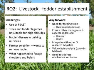 Africa RISING East and Southern Africa Review Brief - 16 March 2015 