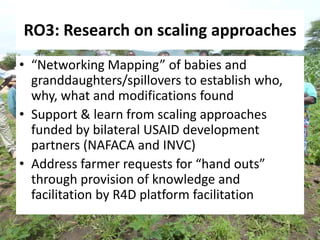 Africa RISING East and Southern Africa Review Brief - 16 March 2015 