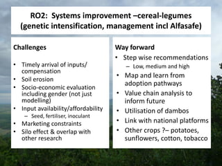Africa RISING East and Southern Africa Review Brief - 16 March 2015 