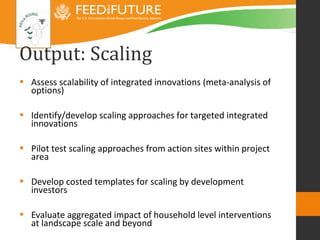 Introducing the Africa RISING research framework 