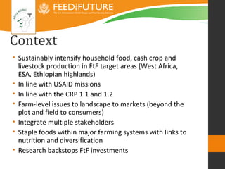 Introducing the Africa RISING research framework 