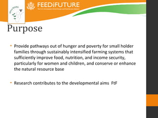 Introducing the Africa RISING research framework 