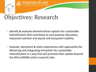 Introducing the Africa RISING research framework 