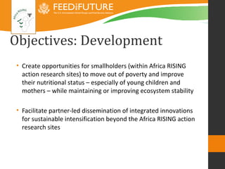 Introducing the Africa RISING research framework 