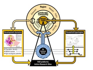 Introducing the Africa RISING research framework 